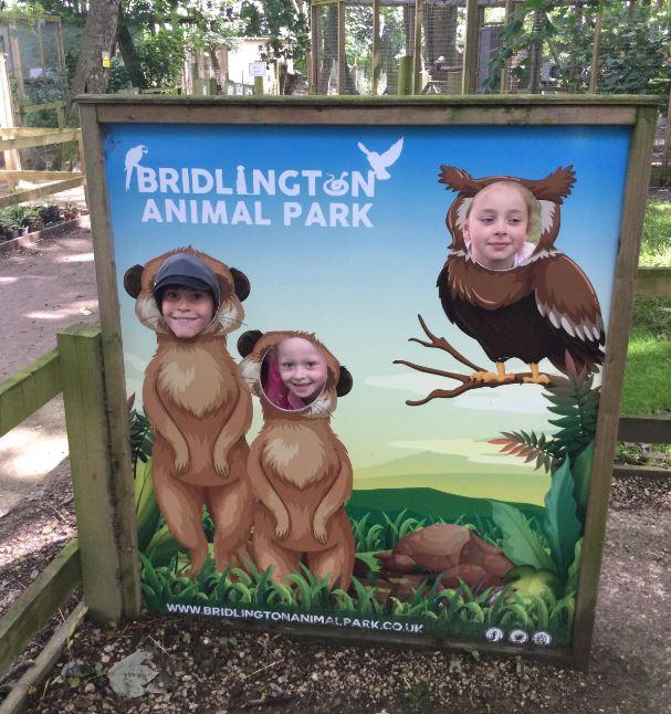 Brid animal park