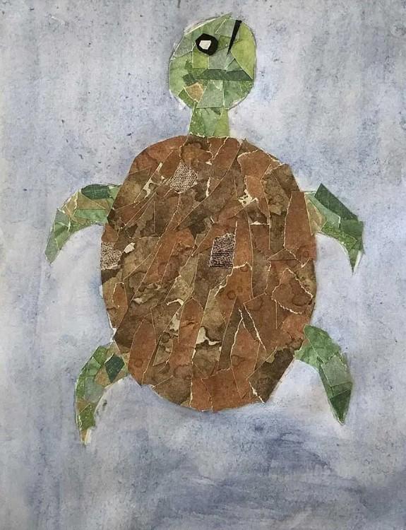 turtle